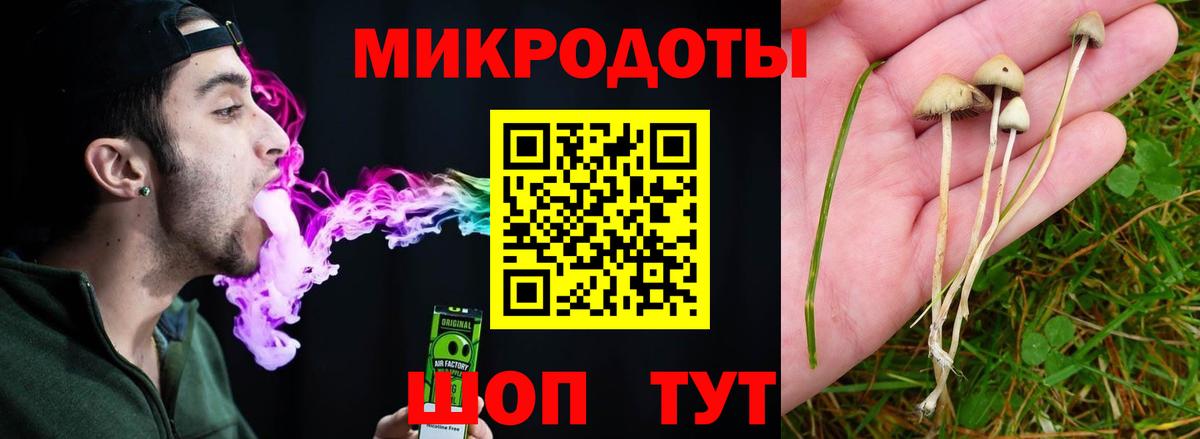 Псилоцибиновые грибы прущие грибы  Вход с VPN  Бузулук 